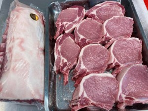 加拿大豬來自加拿大一種無污染的豬